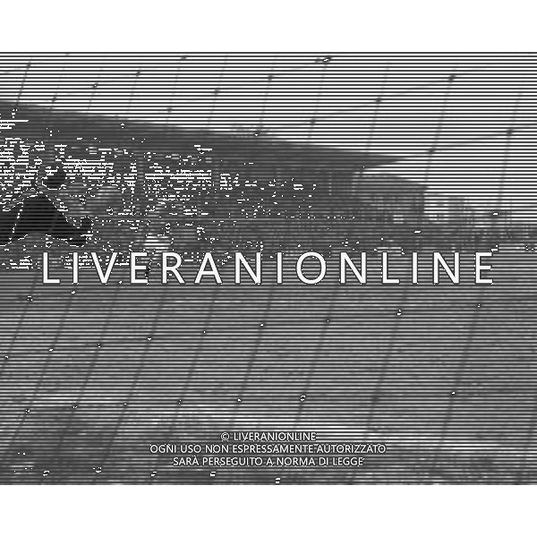 17-03-1957 ALESSANDRIA-CAMPIONATO DI CALCIO SERIE B ALESSANDRIA COMO 3-3 NELLA FOTO AZIONE DI GIOCO AG ALDO LIVERANI SAS
