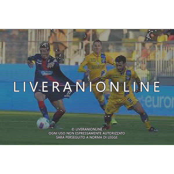 Frosinone vs Crotone Campionato Serie B - 18 giornata Stadio Benito Stirpe - Frosinone 26-12-2019 nella foto Gori trattiene Vido FOTO FEDERICO GAETANO-AG ALDO LIVERANI SAS