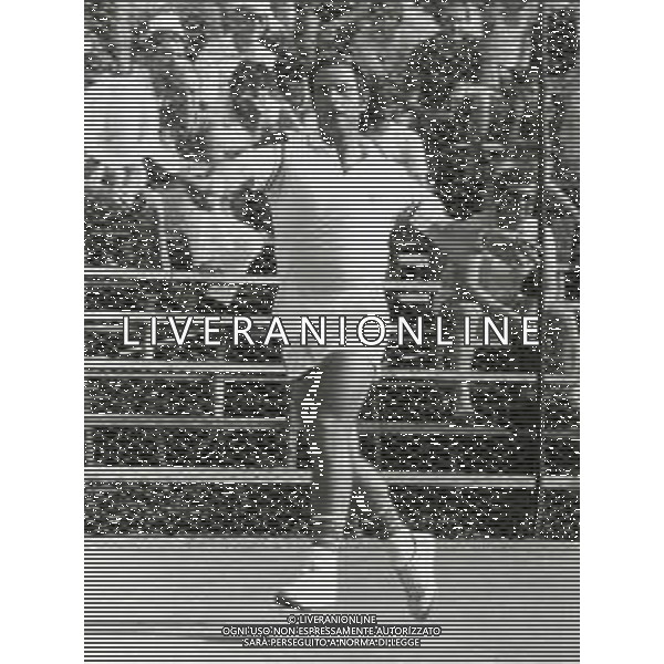 RETROSPETTIVA PAOLO BERTOLUCCI TENNIS NELLA FOTO PAOLO BERTOLUCCI AG ALDO LIVERANI SAS
