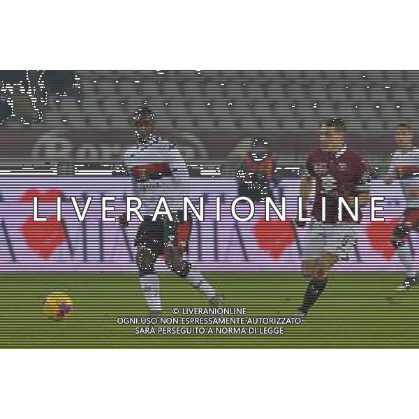 Torino 09.01.2020 Stadio Grande Torino ©Falzone/Agenzia Aldo Liverani Ottavi di finale Coppa Italia 2109/20120 Torino vs Genoa Nella foto : Cristian Zapata-Andrea Belotti