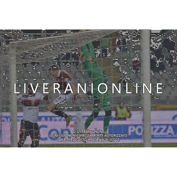 Torino 09.01.2020 Stadio Grande Torino ©Falzone/Agenzia Aldo Liverani Ottavi di finale Coppa Italia 2109/20120 Torino vs Genoa Nella foto : Jonut Radu-Andrea Belotti-Cristian Zapata