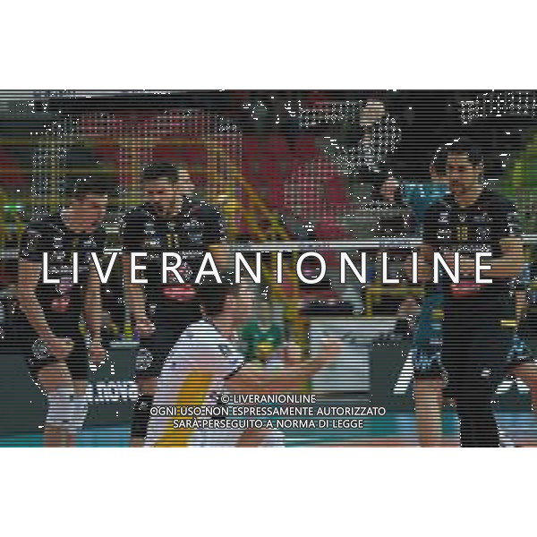 Campionato di Volley Superlega Serie A 2019/2020 Verona, Italia 16/01/2020 Calzedonia Verona - Sir Safety Perugia Nella foto: Esultanza di Sebastian Sole (11) Calzedonia Verona e Asparuh Asparuhow (8) Calzedonia Verona ©LM/Roberto Tommasini / AGENZIA ALDO LIVERANI SAS