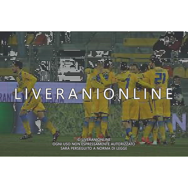 Frosinone vs Pordenone Campionato Serie B - 20 giornata Stadio Benito Stirpe - Frosinone 17-01-2020 nella foto Esultanza Frosinone ©Federico Gaetano / AGENZIA ALDO LIVERANI SAS