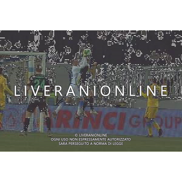 Frosinone vs Pordenone Campionato Serie B - 20 giornata Stadio Benito Stirpe - Frosinone 17-01-2020 nella foto Bardi salva su Strizzolo ©Federico Gaetano / AGENZIA ALDO LIVERANI SAS