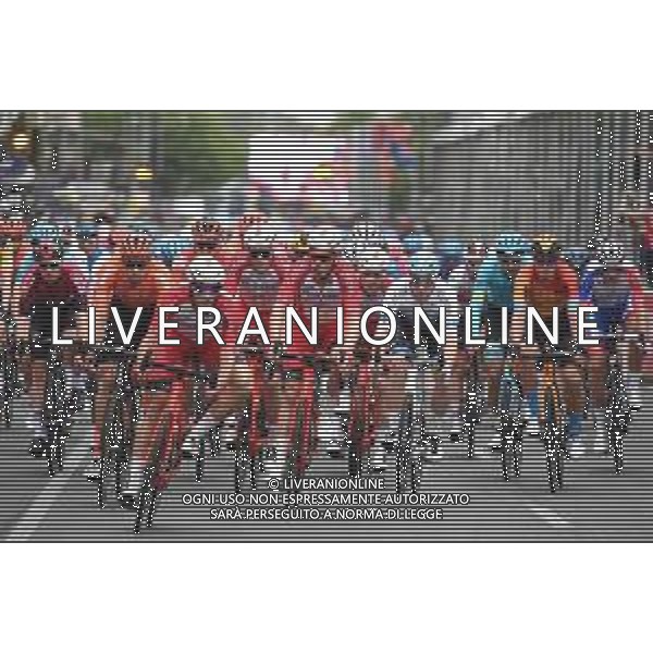 19-01-2020 Schwalbe Classic; 2020, Cofidis; Viviani, Elia; Haas, Nathan; Adelaide;