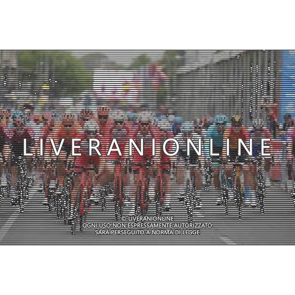 19-01-2020 Schwalbe Classic; 2020, Cofidis; Viviani, Elia; Haas, Nathan; Adelaide;