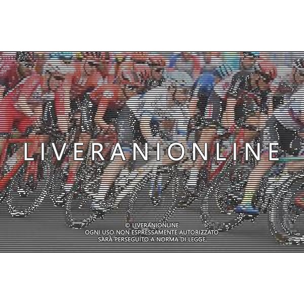 19-01-2020 Schwalbe Classic; 2020, Cofidis; Viviani, Elia; Adelaide;