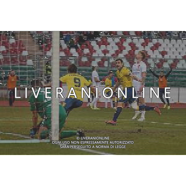 Campionato di Calcio Serie C - Lega Pro 2019/2020 Padova, Italia 19/01/2020 Padova Calcio vs Modena F.C. Nella foto: Gol di Carlo Emanuele Ferrario (Modena) FOTO LM-AG ALDO LIVERANI SAS