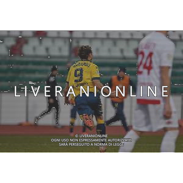 Campionato di Calcio Serie C - Lega Pro 2019/2020 Padova, Italia 19/01/2020 Padova Calcio vs Modena F.C. Nella foto: Gol di Carlo Emanuele Ferrario (Modena) FOTO LM-AG ALDO LIVERANI SAS