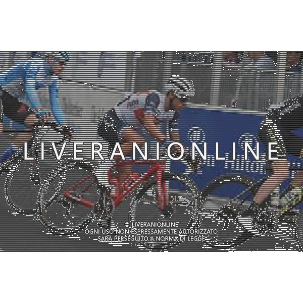 19-01-2020 Schwalbe Classic; 2020, Trek - Segafredo; Porte, Richie; Adelaide; ©SIROTTI / AGENZIA ALDO LIVERANI SAS