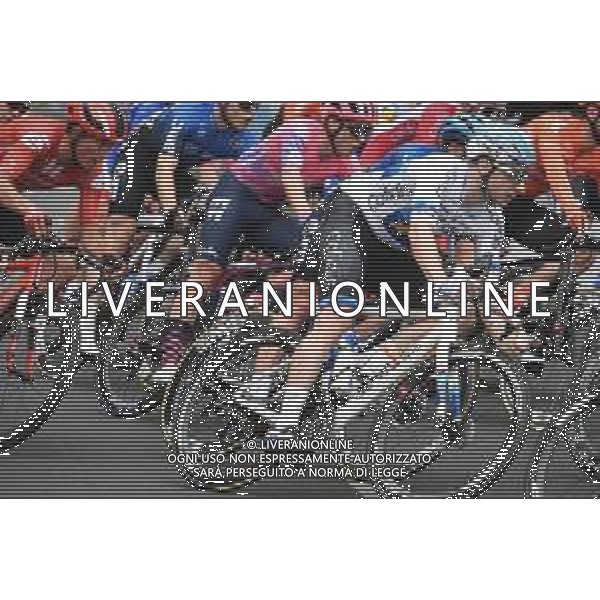 19-01-2020 Schwalbe Classic; 2020, Cofidis; Viviani, Elia; Adelaide; ©SIROTTI / AGENZIA ALDO LIVERANI SAS