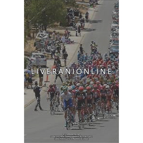 21-01-2020 Tour Down Under; Tappa 01 Tanunda - Tanunda; - AUSTRALIA ©SIROTTI / AGENZIA ALDO LIVERANI SAS