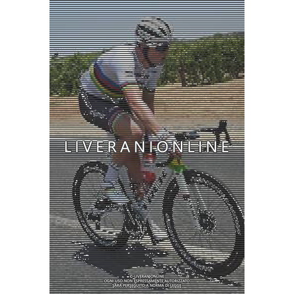 21-01-2020 Tour Down Under; Tappa 01 Tanunda - Tanunda; 2020, Trek - Segafredo; Pedersen, Mads; - AUSTRALIA ©SIROTTI / AGENZIA ALDO LIVERANI SAS