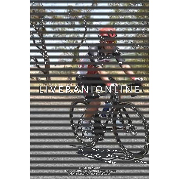 21-01-2020 Tour Down Under; Tappa 01 Tanunda - Tanunda; 2020, Lotto - Soudal; Ewan, Caleb; - AUSTRALIA ©SIROTTI / AGENZIA ALDO LIVERANI SAS