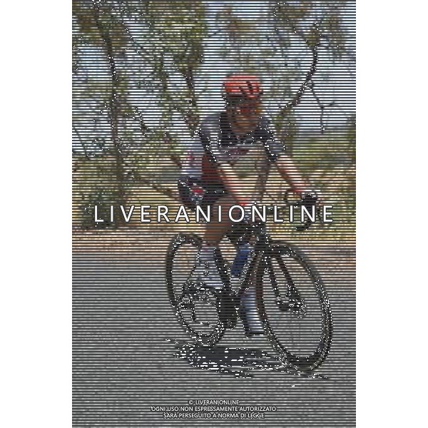 21-01-2020 Tour Down Under; Tappa 01 Tanunda - Tanunda; 2020, Lotto - Soudal; Ewan, Caleb; - AUSTRALIA ©SIROTTI / AGENZIA ALDO LIVERANI SAS