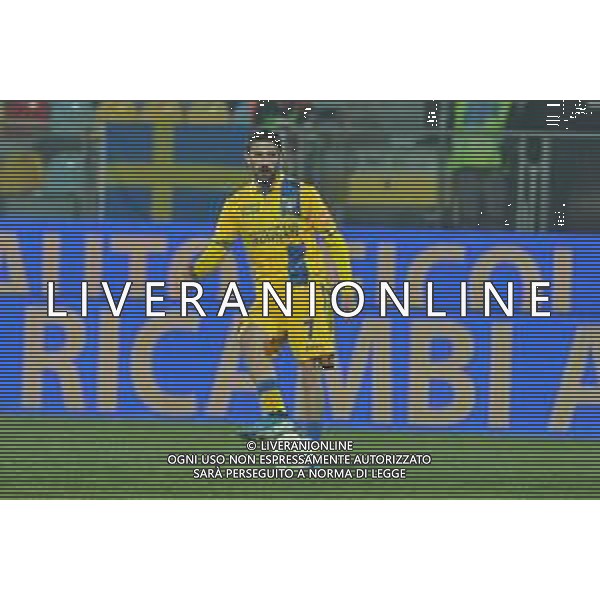 Frosinone vs Pordenone Campionato Serie B - 20 giornata Stadio Benito Stirpe - Frosinone 17-01-2020 nella foto Luca Paganini ©Gaetano Federico/ AGENZIA ALDO LIVERANI SAS
