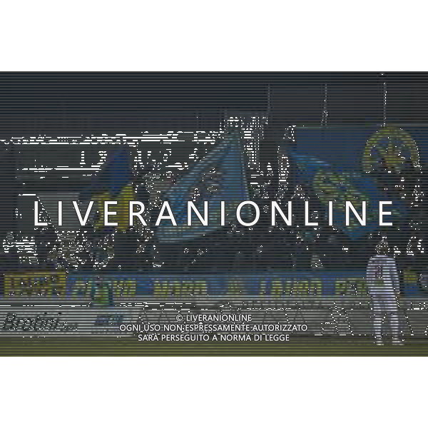 Campionato di Calcio Serie C - Lega Pro 2019/2020 Carrara, Italia 22/01/2020 Carrarese vs Pontedera Nella foto: I tifosi della Carrarese FOTO FABIO FAGIOLINI-ALESSIO MARINI-AG ALDO LIVERANI SAS