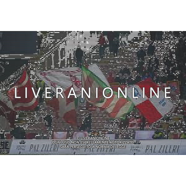 Campionato di Calcio Serie C - Lega Pro 2019/2020 Vicenza, Italia 22/01/2020 Vicenza Vs Modena Nella foto: tifosi del Lanerossi Vicenza Virtus ©Alessio Marini / AGENZIA ALDO LIVERANI SAS