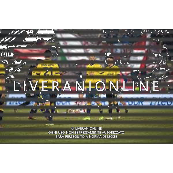 Campionato di Calcio Serie C - Lega Pro 2019/2020 Vicenza, Italia 22/01/2020 Vicenza Vs Modena Nella foto: delusione del Modena Football Club 1912 ©Alessio Marini / AGENZIA ALDO LIVERANI SAS