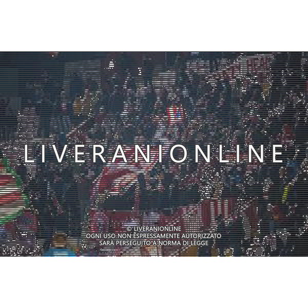 Campionato di Calcio Serie C - Lega Pro 2019/2020 Vicenza, Italia 22/01/2020 Vicenza Vs Modena Nella foto: tifosi del Lanerossi Vicenza Virtus ©Alessio Marini / AGENZIA ALDO LIVERANI SAS