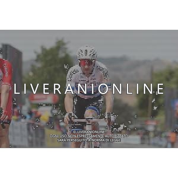 23-01-2020 Tour Down Under; Tappa 03 Unley - Paracombe; 2020, Cofidis; Viviani, Elia; Paracombe; - Australia ©SIROTTI / AGENZIA ALDO LIVERANI SAS