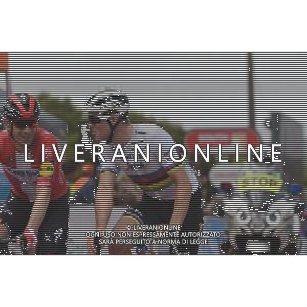 23-01-2020 Tour Down Under; Tappa 03 Unley - Paracombe; 2020, Trek - Segafredo; Pedersen, Mads; Paracombe; - Australia ©SIROTTI / AGENZIA ALDO LIVERANI SAS