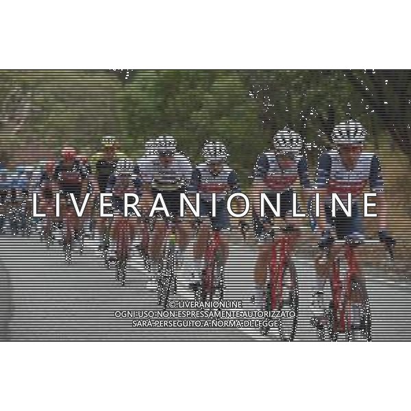 23-01-2020 Tour Down Under; Tappa 03 Unley - Paracombe; 2020, Trek - Segafredo; Pedersen, Mads; - Australia ©SIROTTI / AGENZIA ALDO LIVERANI SAS