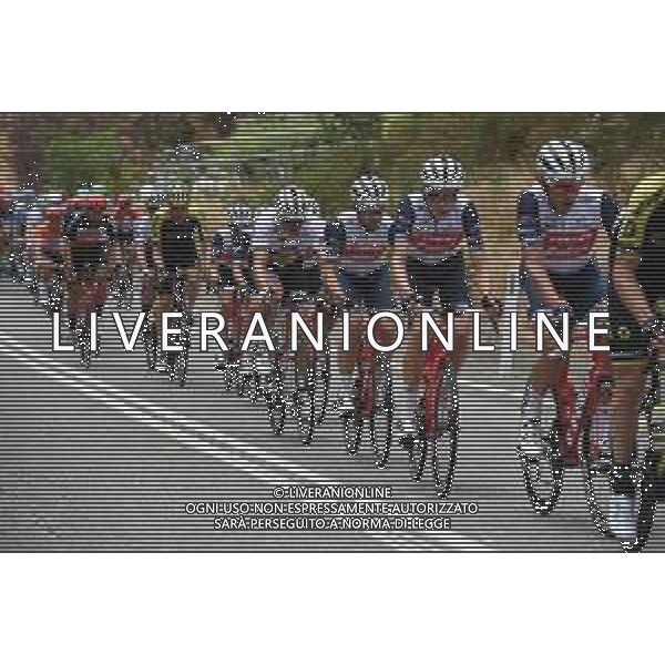 23-01-2020 Tour Down Under; Tappa 03 Unley - Paracombe; 2020, Trek - Segafredo; Pedersen, Mads; - Australia ©SIROTTI / AGENZIA ALDO LIVERANI SAS