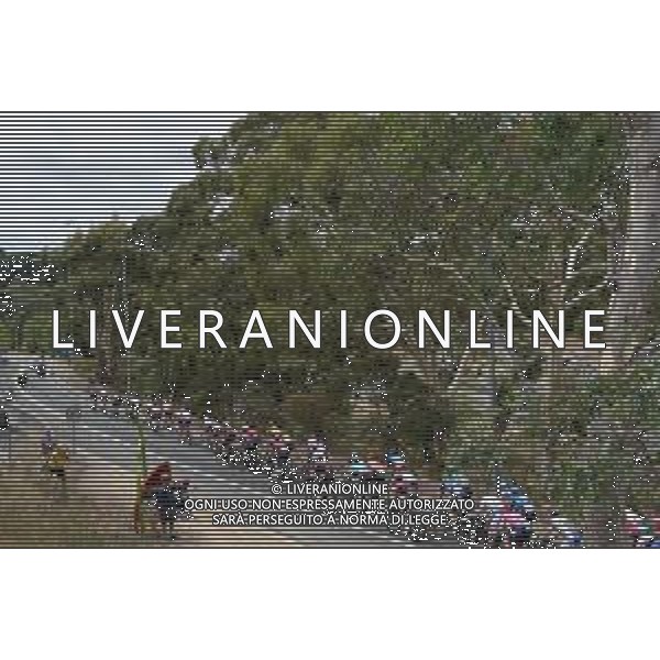 23-01-2020 Tour Down Under; Tappa 03 Unley - Paracombe; - Australia ©SIROTTI / AGENZIA ALDO LIVERANI SAS