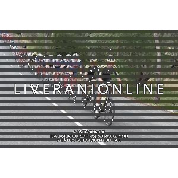 23-01-2020 Tour Down Under; Tappa 03 Unley - Paracombe; 2020, Mitchelton - Scott; - Australia ©SIROTTI / AGENZIA ALDO LIVERANI SAS