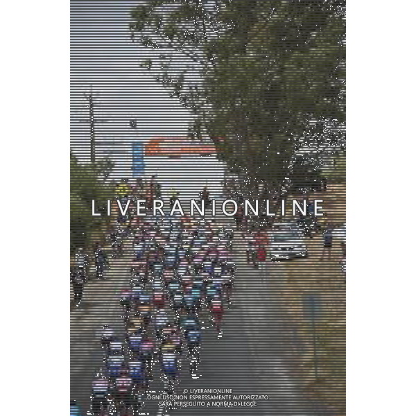 23-01-2020 Tour Down Under; Tappa 03 Unley - Paracombe; Paracombe; - Australia ©SIROTTI / AGENZIA ALDO LIVERANI SAS