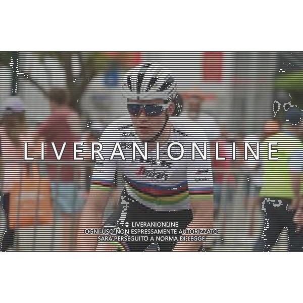 24-01-2020 Tour Down Under; Tappa 04 Norwood - Murray Bridge; 2020, Trek - Segafredo; Pedersen, Mads; Murray Bridge; FOTO STEFANO SIROTTI-AG ALDO LIVERANI SAS