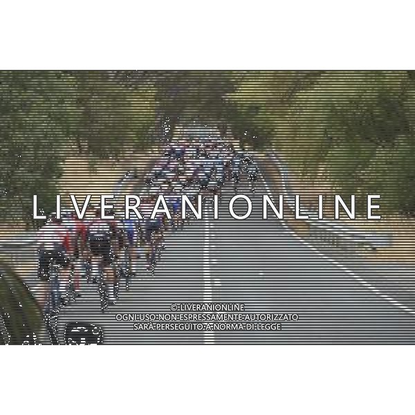 24-01-2020 Tour Down Under; Tappa 04 Norwood - Murray Bridge; FOTO STEFANO SIROTTI-AG ALDO LIVERANI SAS