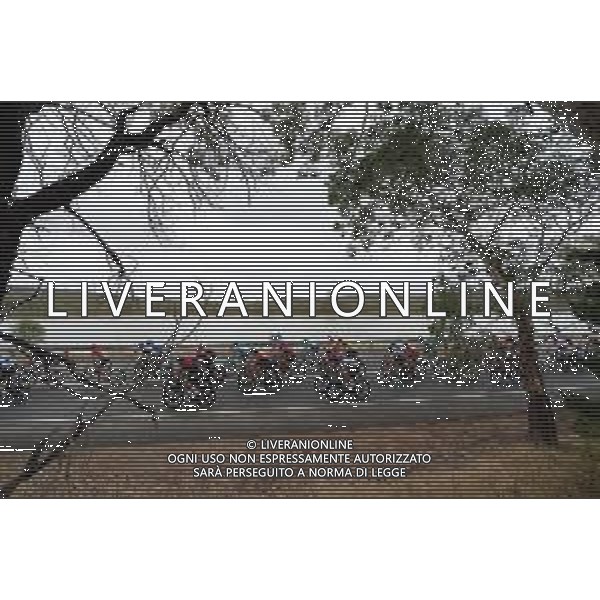 24-01-2020 Tour Down Under; Tappa 04 Norwood - Murray Bridge; FOTO STEFANO SIROTTI-AG ALDO LIVERANI SAS