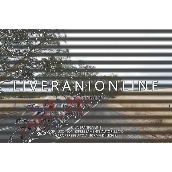 24-01-2020 Tour Down Under; Tappa 04 Norwood - Murray Bridge; 2020, Cofidis; Viviani, Elia; FOTO STEFANO SIROTTI-AG ALDO LIVERANI SAS