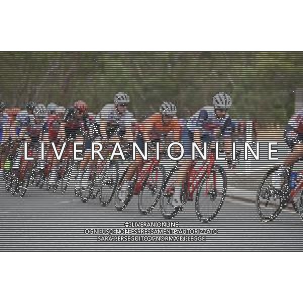 24-01-2020 Tour Down Under; Tappa 04 Norwood - Murray Bridge; 2020, Trek - Segafredo; Porte, Richie; Pedersen, Mads; FOTO STEFANO SIROTTI-AG ALDO LIVERANI SAS