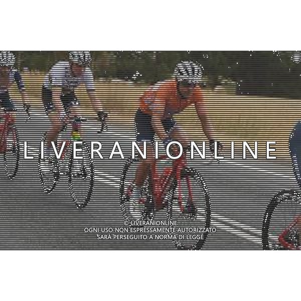 24-01-2020 Tour Down Under; Tappa 04 Norwood - Murray Bridge; 2020, Trek - Segafredo; Porte, Richie; FOTO STEFANO SIROTTI-AG ALDO LIVERANI SAS