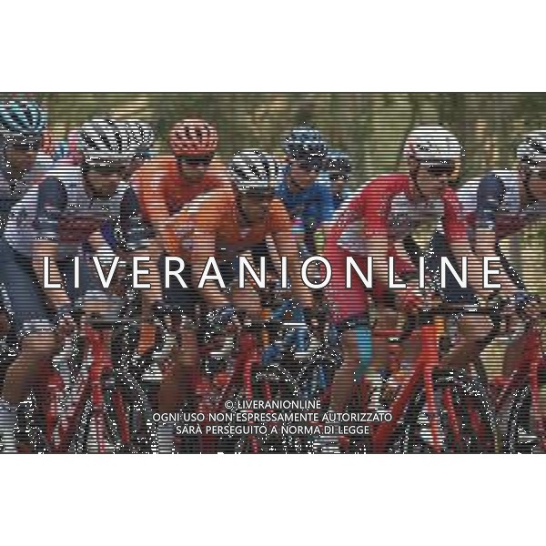 24-01-2020 Tour Down Under; Tappa 04 Norwood - Murray Bridge; 2020, Trek - Segafredo; Porte, Richie; FOTO STEFANO SIROTTI-AG ALDO LIVERANI SAS