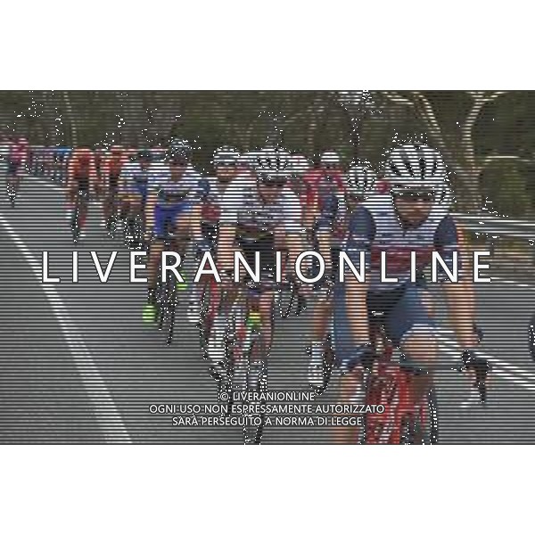 24-01-2020 Tour Down Under; Tappa 04 Norwood - Murray Bridge; 2020, Trek - Segafredo; Pedersen, Mads; FOTO STEFANO SIROTTI-AG ALDO LIVERANI SAS