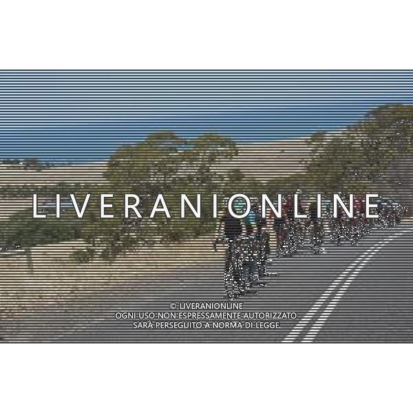 25-01-2020 Tour Down Under; Tappa 05 Glenelg - Victor Harbor; 2020, Mitchelton - Scott; Hamilton, Lucas; Kerby Hill; ©SIROTTI / AGENZIA ALDO LIVERANI SAS