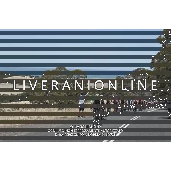 25-01-2020 Tour Down Under; Tappa 05 Glenelg - Victor Harbor; 2020, Mitchelton - Scott; Hamilton, Lucas; Kerby Hill; ©SIROTTI / AGENZIA ALDO LIVERANI SAS