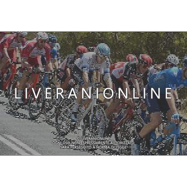 25-01-2020 Tour Down Under; Tappa 05 Glenelg - Victor Harbor; 2020, Cofidis; Viviani, Elia; ©SIROTTI / AGENZIA ALDO LIVERANI SAS