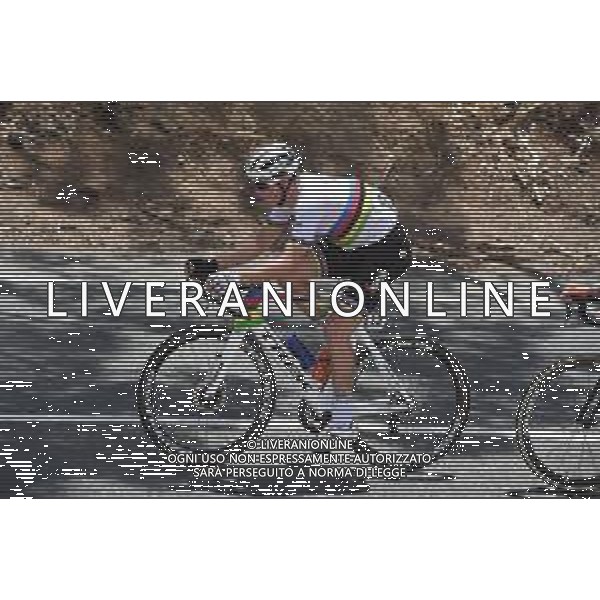 25-01-2020 Tour Down Under; Tappa 05 Glenelg - Victor Harbor; 2020, Trek - Segafredo; Pedersen, Mads; ©SIROTTI / AGENZIA ALDO LIVERANI SAS