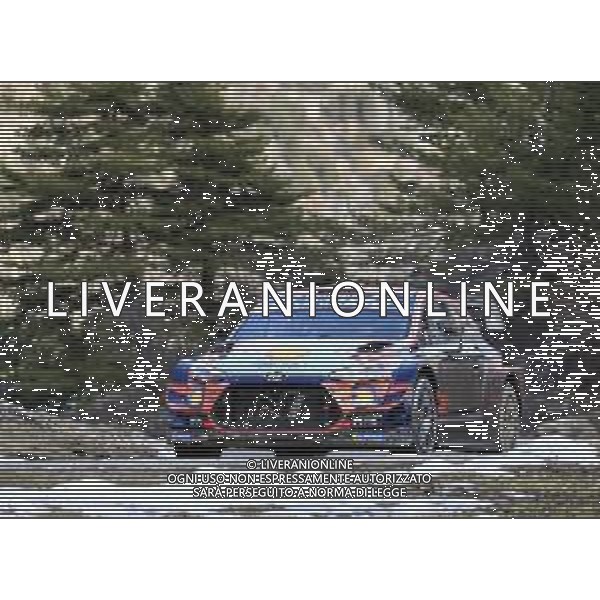 Sebastien Loeb (FRA) - Daniel Elena (MCO) HYUNDAI I20 Coupe WRC, HYUNDAI SHELL MOBIS WRT 26.01.2020. FIA World Rally Championship, Rd 1, Rally Monte Carlo, Monaco, Monte-Carlo. AG ALDO LIVERANI SAS-ONLY ITALY