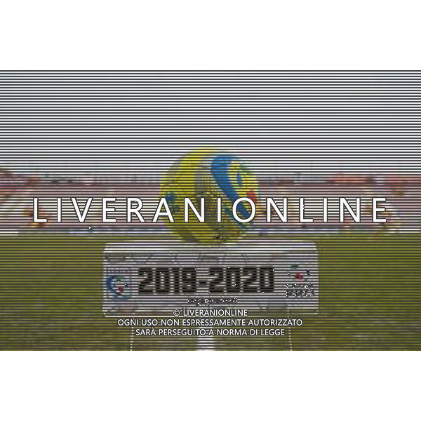 Campionato di Calcio Serie C - Lega Pro 2019/2020 Vicenza, Italia 26/01/2020 Arzignano Valchiampo vs Sambenedettese Nella foto: Pallone Lega Pro © Ettore Griffoni- Alessio Marini / AGENZIA ALDO LIVERANI SAS
