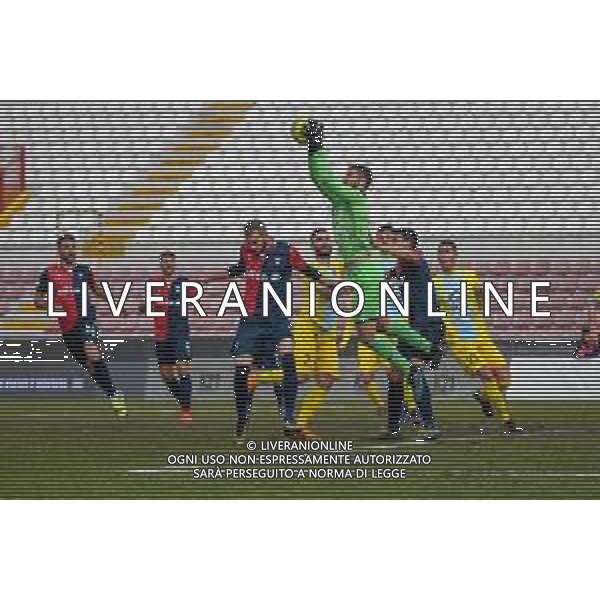 Campionato di Calcio Serie C - Lega Pro 2019/2020 Vicenza, Italia 26/01/2020 Arzignano Valchiampo vs Sambenedettese Nella foto: Riccardo Tosi (Arzignano) in parata © Ettore Griffoni- Alessio Marini / AGENZIA ALDO LIVERANI SAS