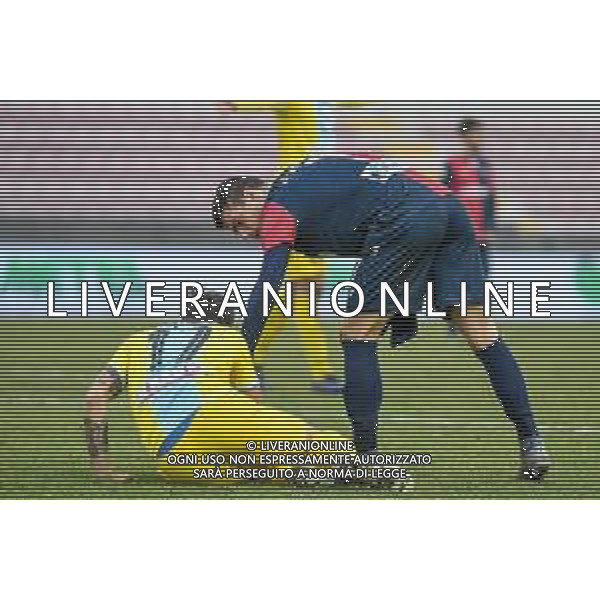 Campionato di Calcio Serie C - Lega Pro 2019/2020 Vicenza, Italia 26/01/2020 Arzignano Valchiampo vs Sambenedettese Nella foto: Alessio Di Massimo (Sambenedettese) aiuta Salvatore Tazza (Arzignano) © Ettore Griffoni- Alessio Marini / AGENZIA ALDO LIVERANI SAS