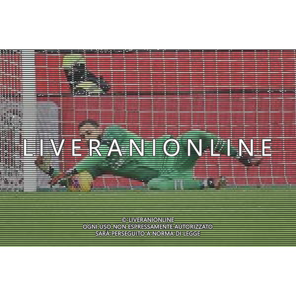 Gianluigi Donnarumma (Milan) Milan vs Torino Coppa Italia - quarti di finale Milano 28-01-2020 Stadio Giuseppe Meazza - San Siro foto Roberto Garavaglia - ag. Aldo Liverani sas / AGENZIA ALDO LIVERANI SAS