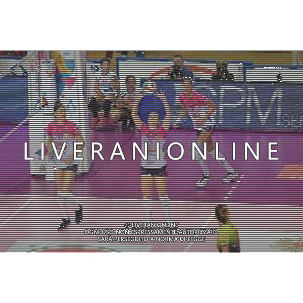 Volley Coppa Italia Femminile 2019/2020 Novara, Italia 29/01/2020 Igor Gorgonzola Novara vs Saugella Monza Nella foto: Micha Hancock, 12 (Igor Gorgonzola Novara) FOTO LISA GUGLIELMI-ALESSIO MARINI-AG ALDO LIVERANI SAS