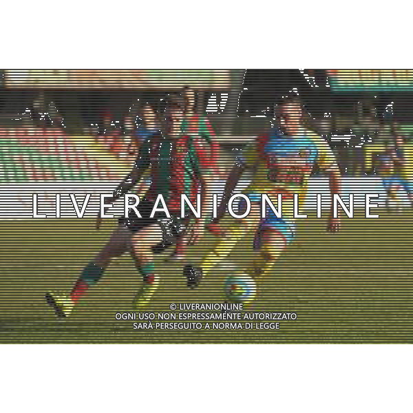 Ternana vs Catania Coppa Italia Serie C - Semifinale andata Stadio Libero Liberati - Terni 29-01-2020 nella foto Nesta e Di Molfetta FOTO FEDERICO GAETANO-AG ALDO LIVERANI SAS